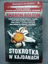 Książka Sharon Bolton Stokrotka w kajdanach