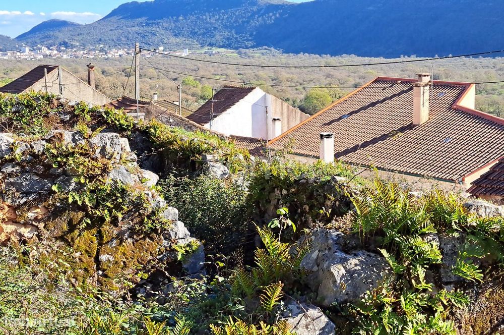Terreno Urbano com Ruína em Mira de Aire
