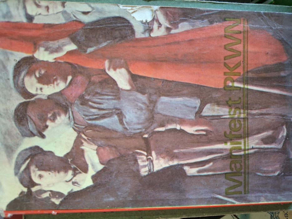 Książka Manifest PKWN