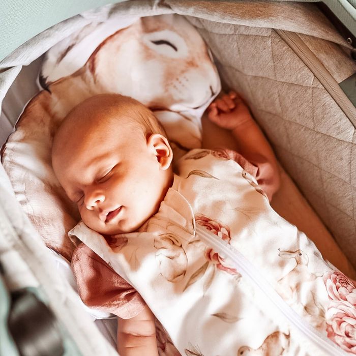 Śpiworek z nogawkami World of Dinosaur XS - Baby Steps