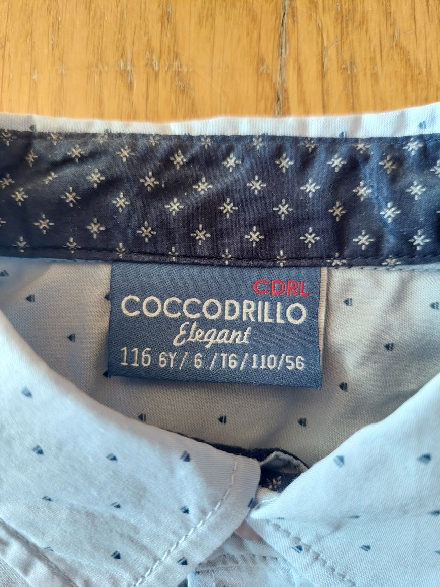 Bluzka z krótkim rękawem galowa 116 Coccodrillo