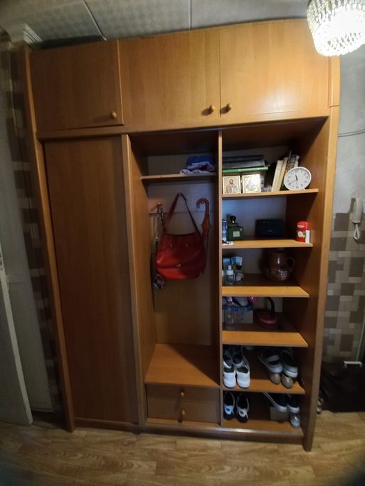 Прихожая дверь купе 160×240