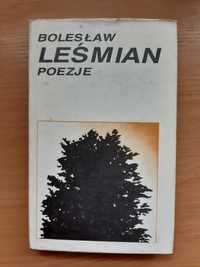 Bolesław Leśmian Poezje