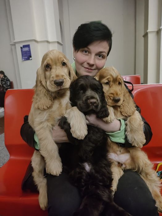 Кур'єр. Доставка тварин по Україні