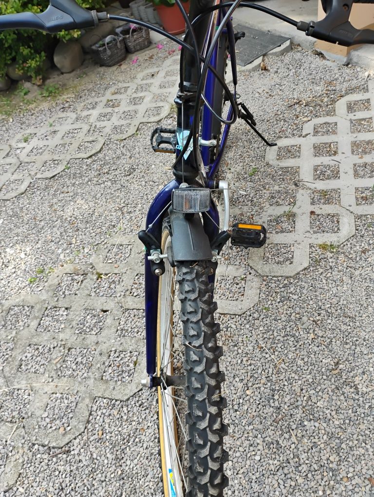 Rower giant gsr 100