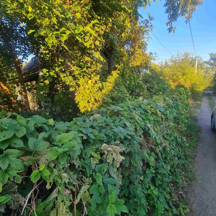 Дача ділянка 10 соток Садівник в межах міста