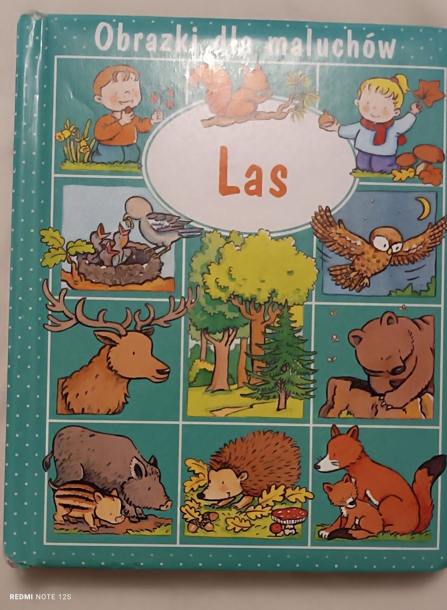 Obrazki dla maluchów. Las