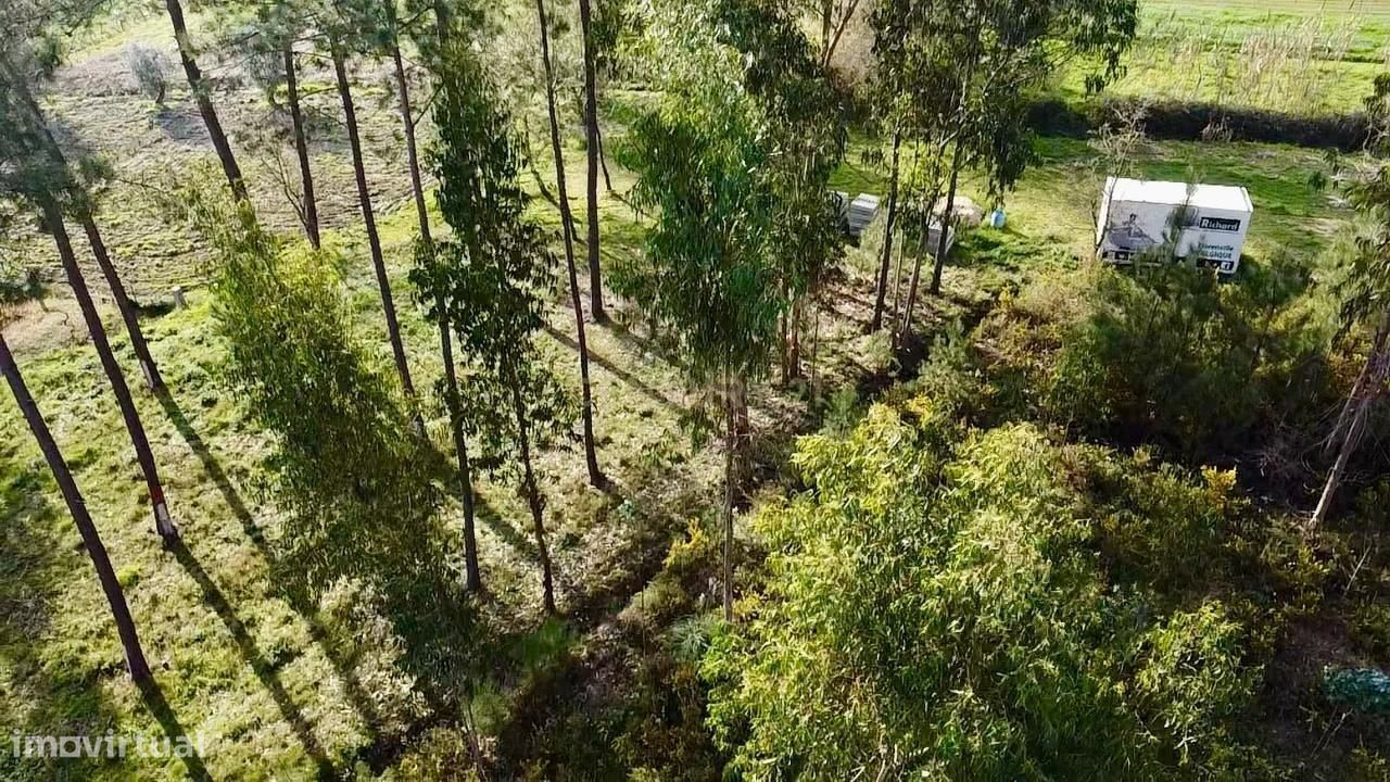 Terreno | 440m2 | Regueira de Pontes | Leiria