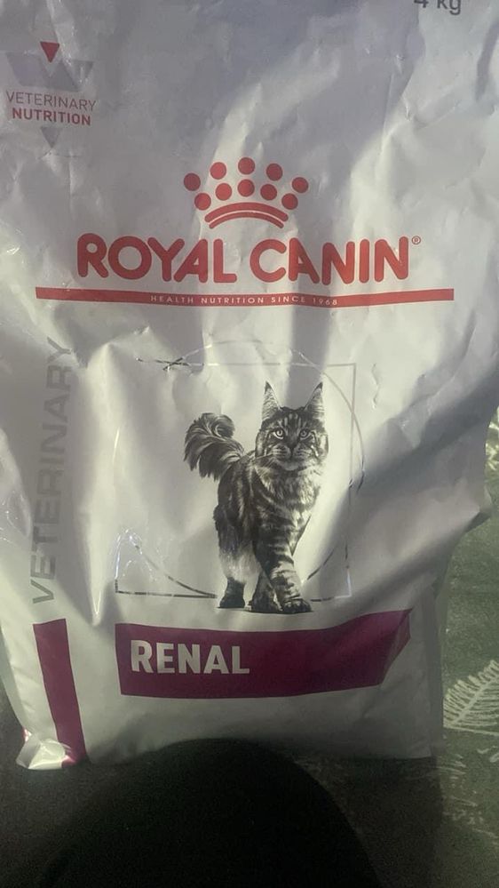 Royal Canin Renal для котів