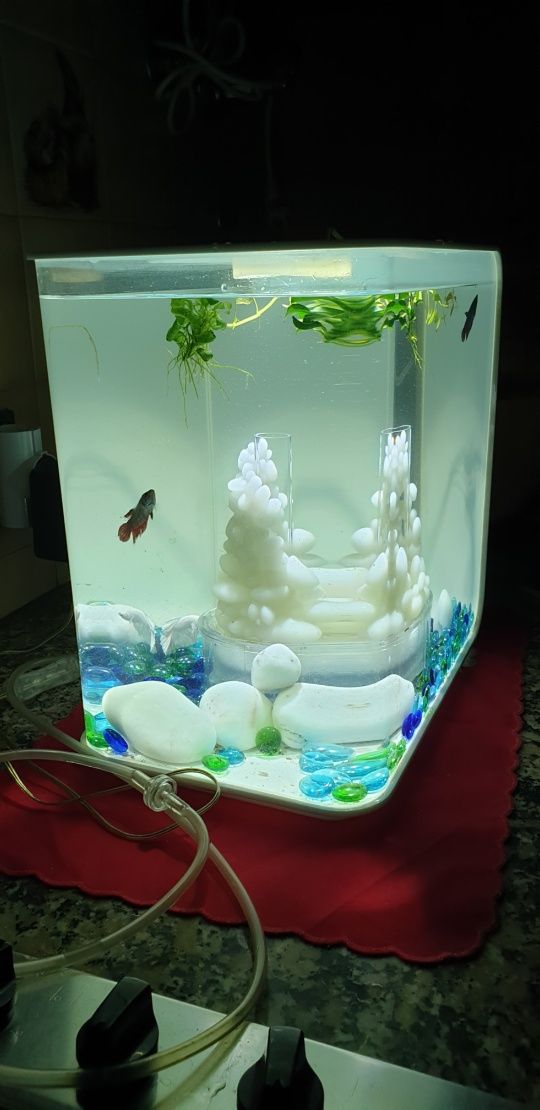 Aquario Biorb 15L