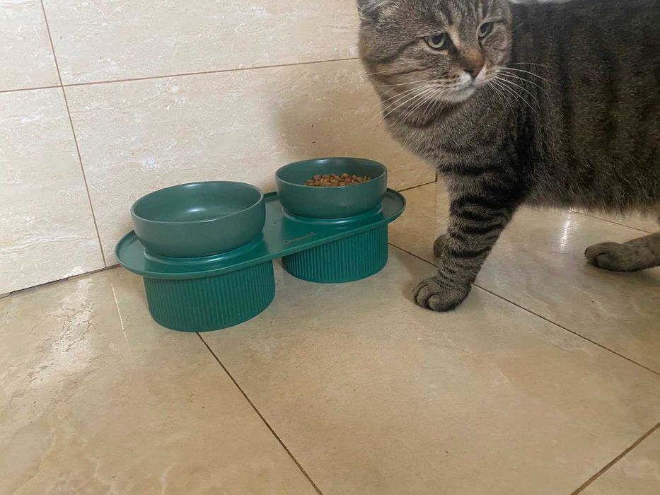 Миска подвійна для тварин на підставці, CLAWCOUNT