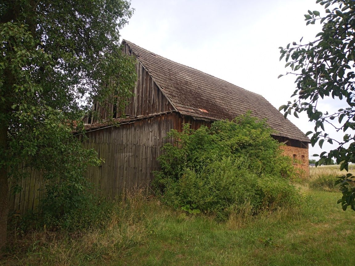 Rozbiórka stodoły/ stare drewno