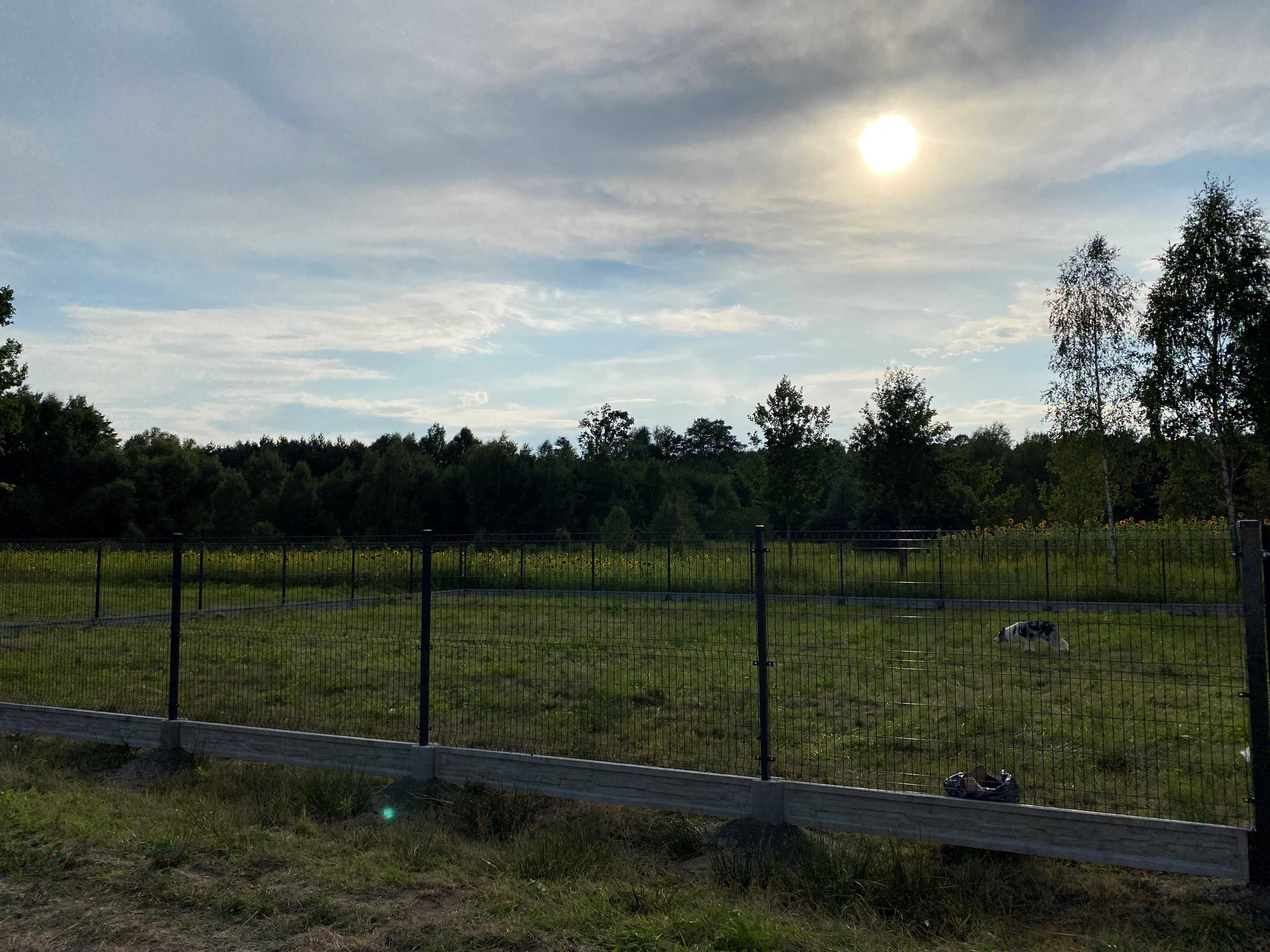 !!! Działka Rekreacyjna 530m2 Augustówka, gmina Osieck !!!