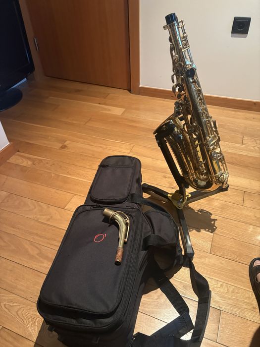 Saxofone Alto para estudo com boquilha selmer.