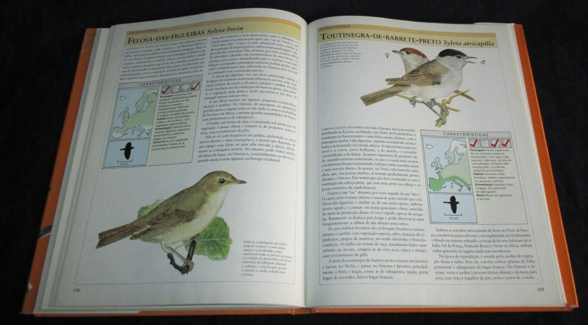 Livro Guia das Aves Mike Everett Estampa