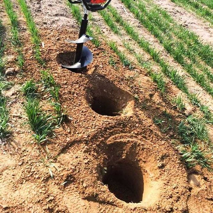 Wiertnica do gleby wietak spalinowa świder BAUMR-AG 5,9 KM