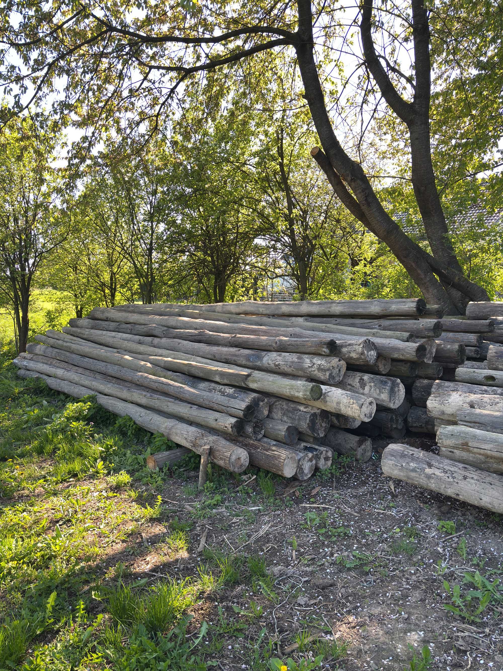 Sprzedam słupy chmielowe 7/8/9m.