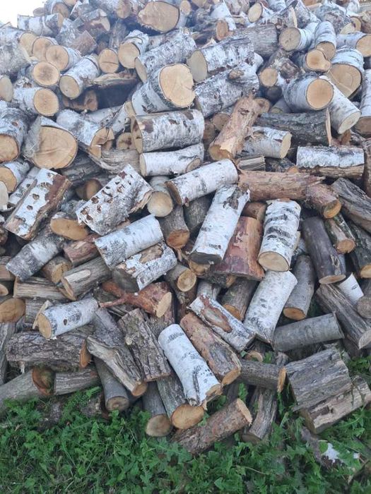 Drzewo,drewno opałowe,opał,kominkowe dąb, brzoza,akacja,sosna
