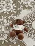 peluche castanho tony carreira