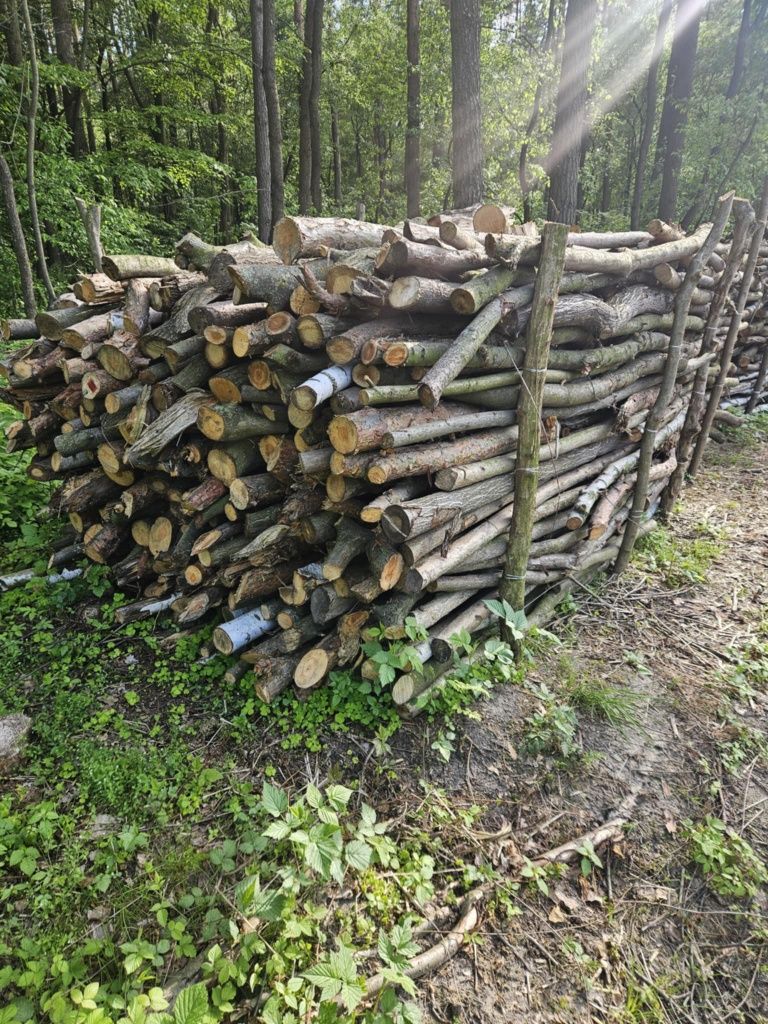 sprzedam drewno opałowe