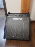 Roland PM-200 Głośnik Kolumna