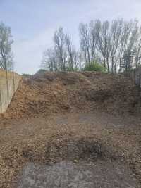 Zrębki zrębka leśna biomasa