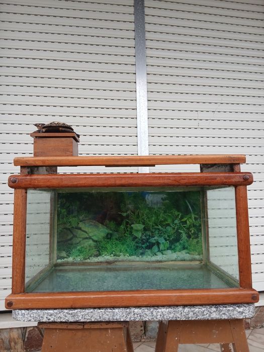 Aquário de 80L, termostato 100w da marinha