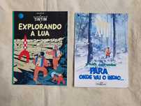 Dois livros usados de banda desenhada Tintin e XIII