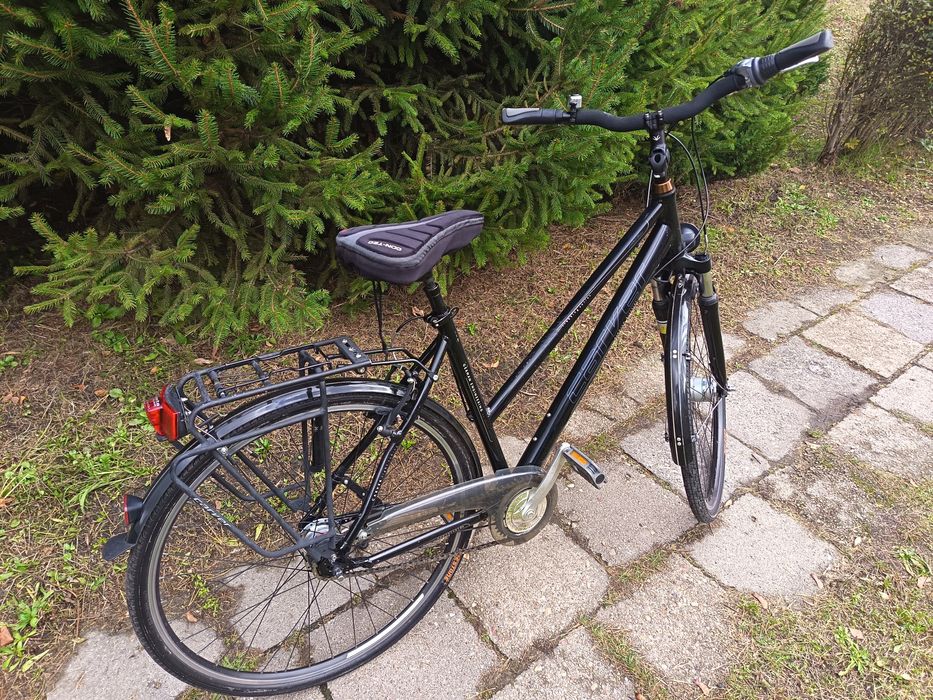 Męski duży rower Carver trekkingowy