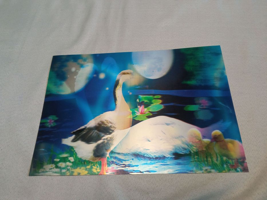 Obrazek 3D - ŁABĘDZIE