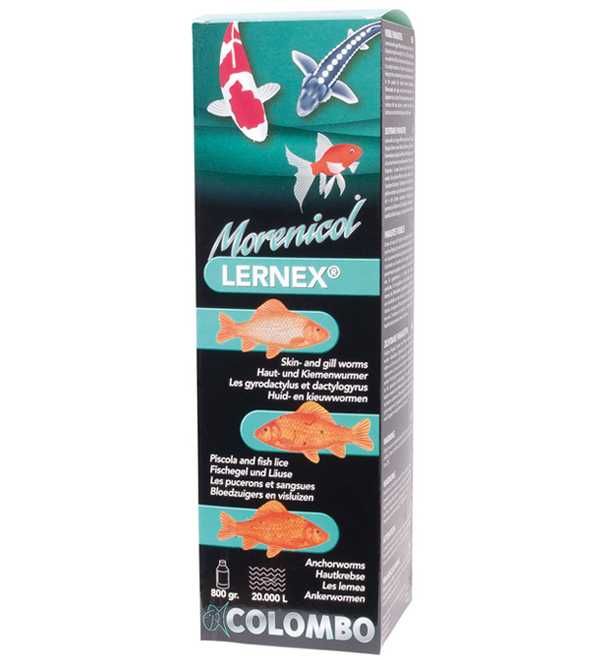 Colombo Morenicol Lernex-800gr