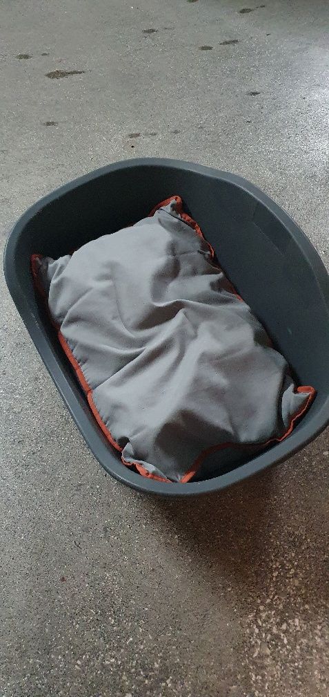 Cama para cão e sua fofa almofada