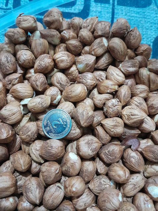 Фундук чищений ядро горіха