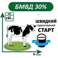 Бмвд Молкам для телят та молодняка ВРХ 30%