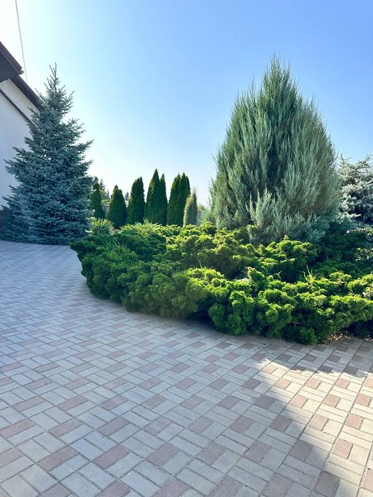 Аренда 2 эт дома ! Полтавское шоссе. Передовая. Левый берег