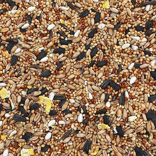 5kg Mix dla papug falistych i średnich nimfa rozella karma STANDARD Ch