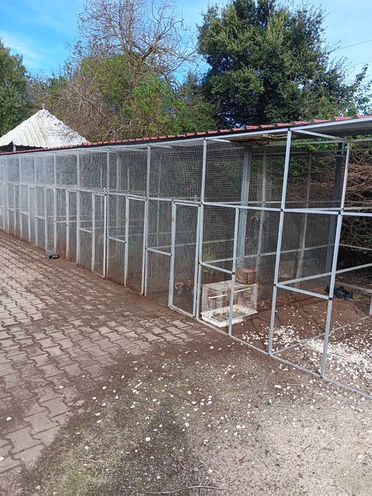 Gaiolas para pássaros