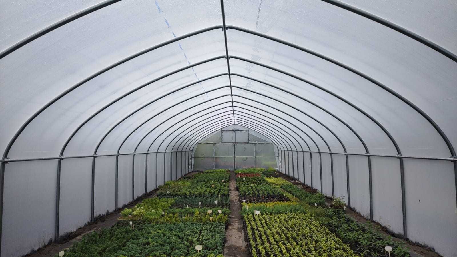 Tunel foliowy 7 x 30 x 3,3 gotyk