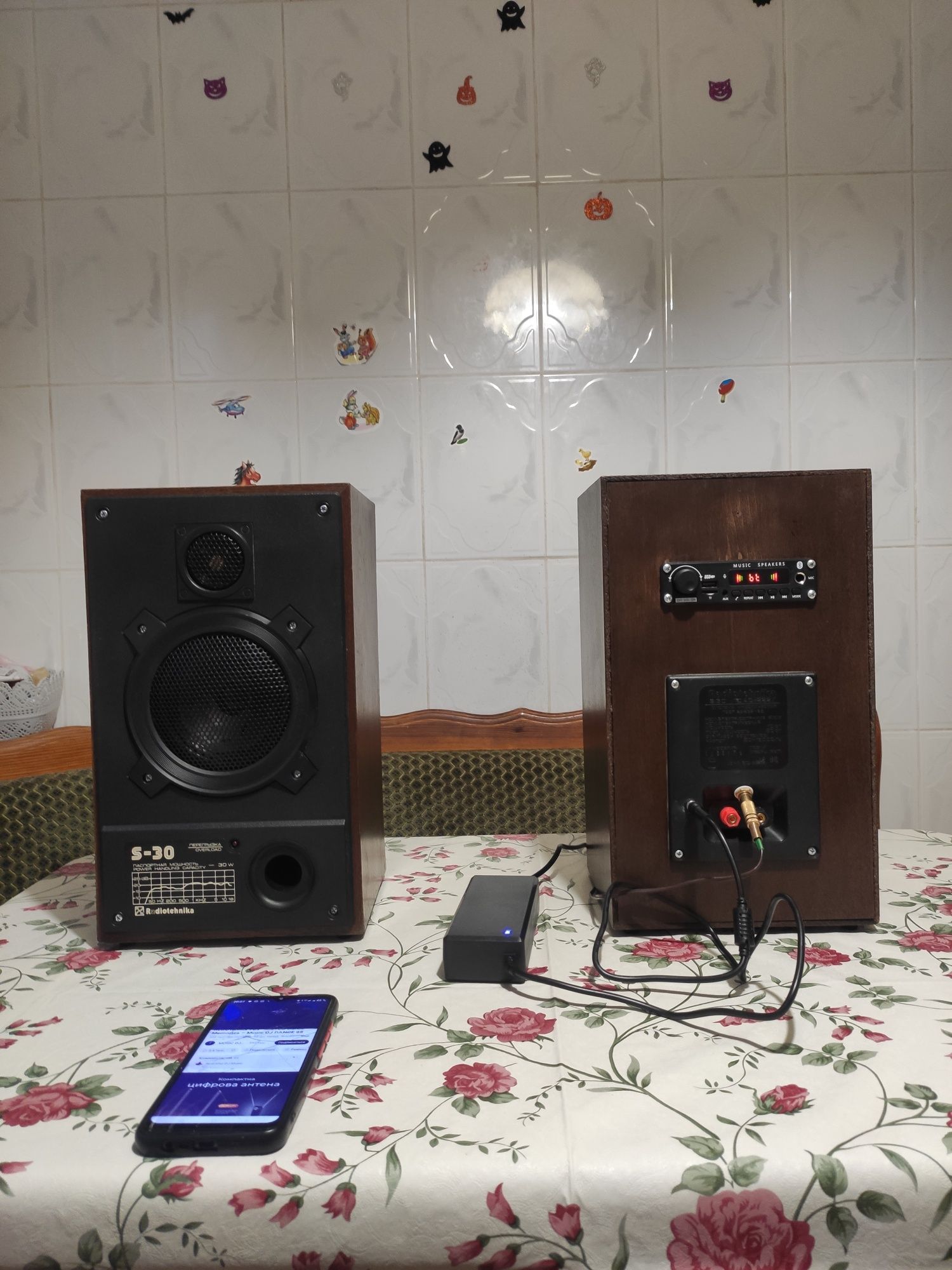 Активная акустика Радиотехника С-30