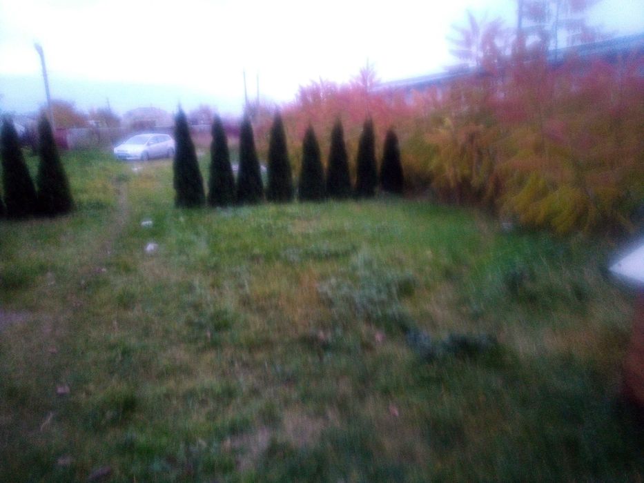 Продається комплекс приміщень площею 3250м.кв(1491,1500,715,206,38,16)