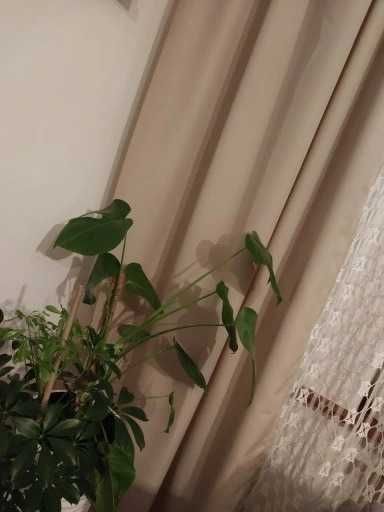 Zasłony okienne na okna 2 sztuki komplet 140x250 cm beżowe