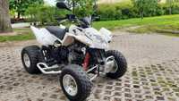 Kymco Arctic Cat DVX Maxxer 300 Access Aeon Inny Dinli Adly DS