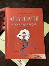 Анатомія судин та нервів тулуба