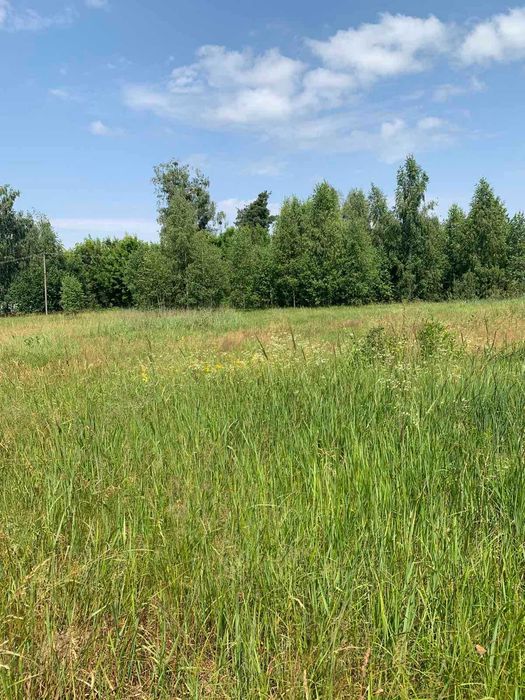 Продаю  земельну ділянку  під будівництво. або хорошу Дачу