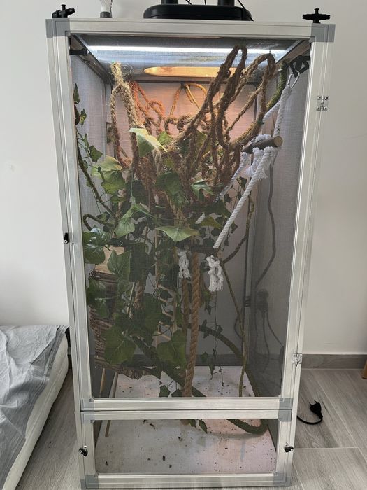 Terrarium siatkowane