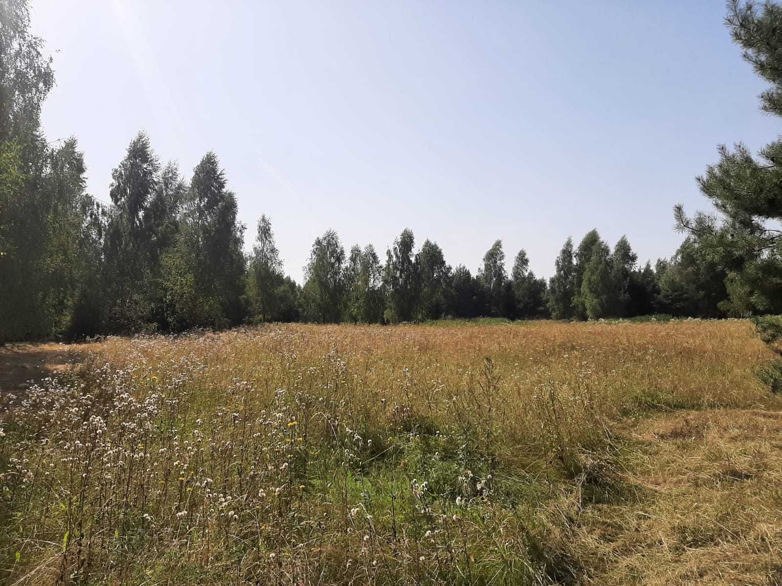 Działka budowlana nad jeziorem, 1540m2, Mazury Skomętno, obok Ełku.