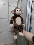 Pluszowa zabawka małpka dla dzieci markowa Goryl małpka małpa monkey s