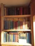 Livros antigos de diversas temáticas (estante não incluída)