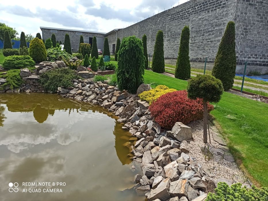 ПокісТрави#Газон#ДоглядЗаГазоном#ВичісуваннГазону#Обрізка