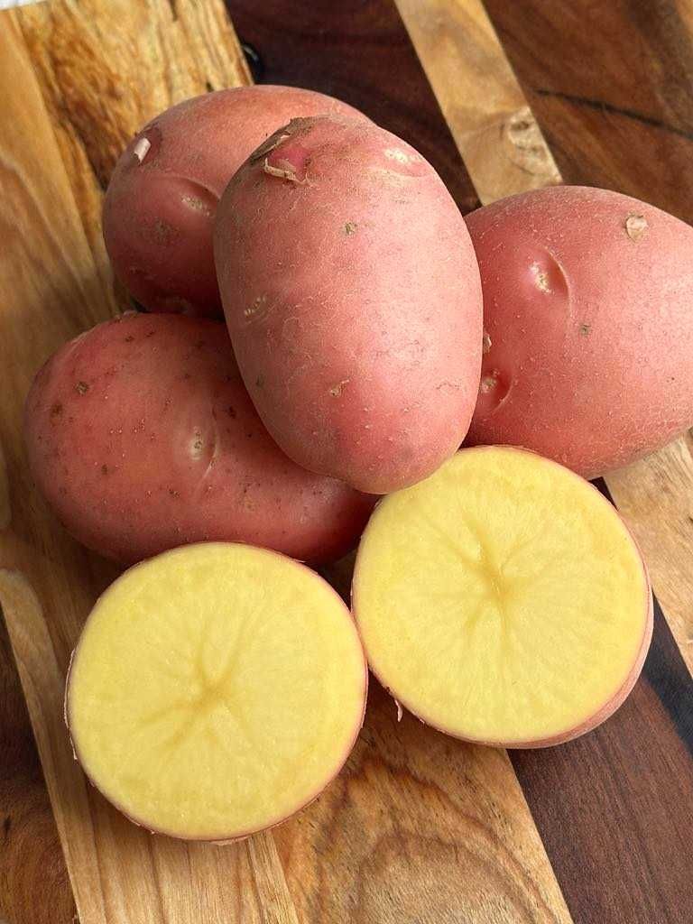 Sad u Bartka zaprasza po pyszne ziemniaki BELLA ROSA